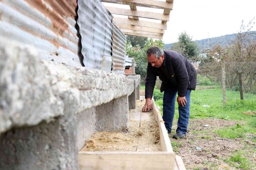 Dolandırdığı yetmedi üstüne para istedi