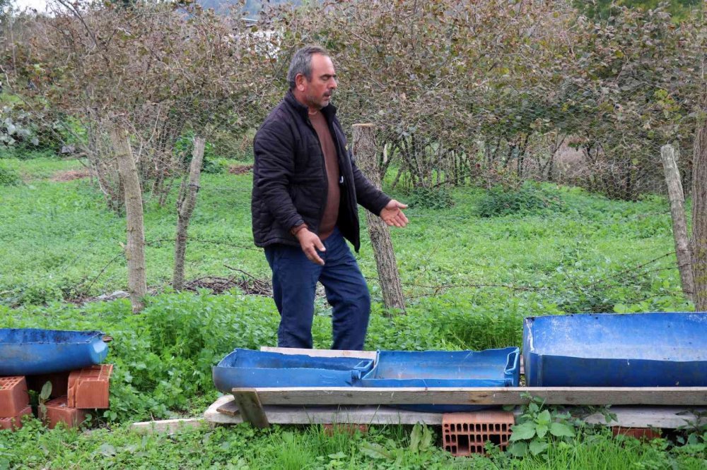 Dolandırdığı yetmedi üstüne para istedi