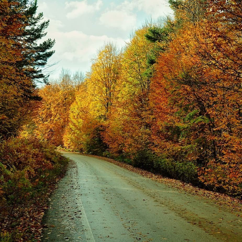 Küçükelmalı Tabiat Parkı’nda sonbahar güzelliği mest etti