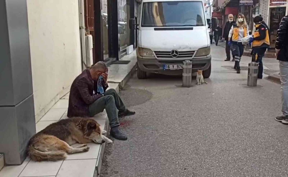 Sahibinin başından ayrılmadı