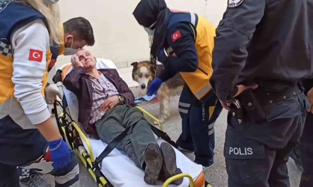 Sahibinin başından ayrılmadı