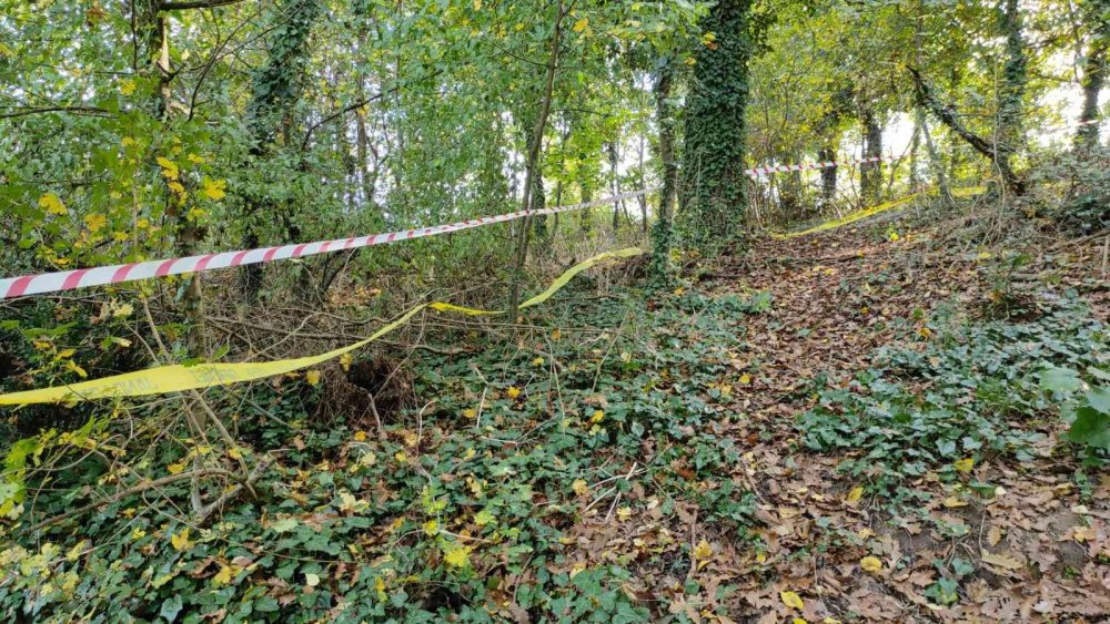 İşlediği cinayeti 21 yıl sonra itiraf etti