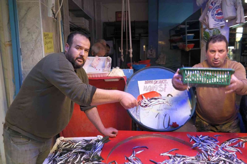 Kilosu 10 TL’ye düşen hamsiyi gören sıraya girdi