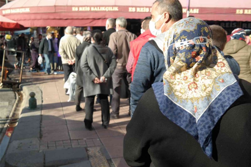 Kilosu 10 TL’ye düşen hamsiyi gören sıraya girdi