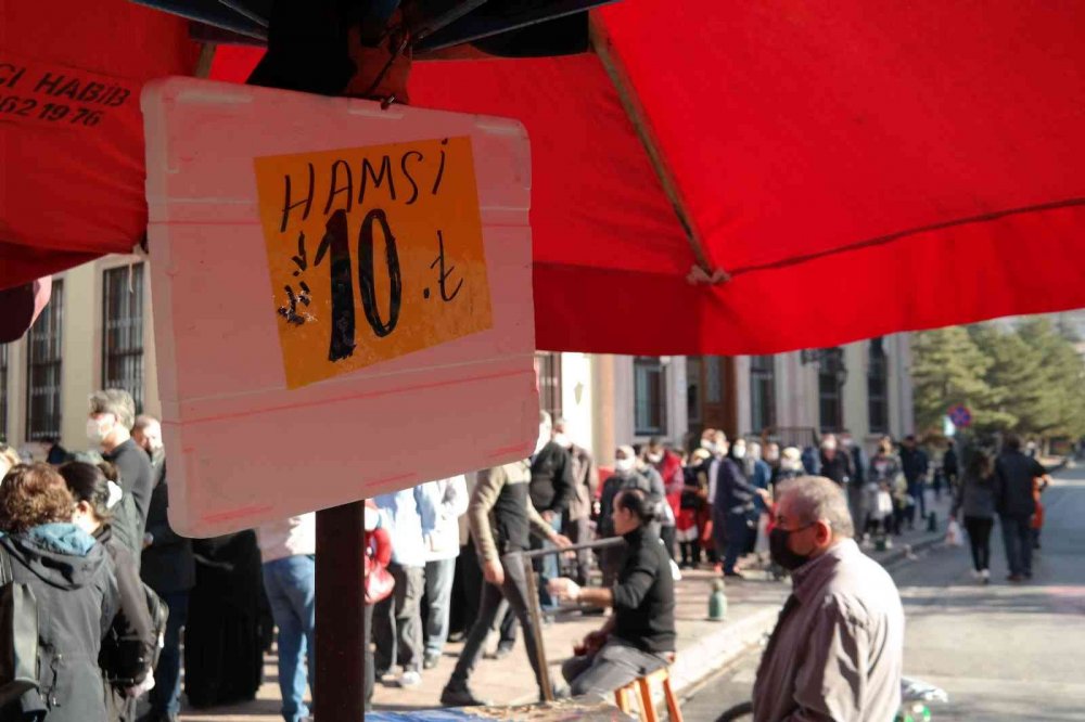 Kilosu 10 TL’ye düşen hamsiyi gören sıraya girdi