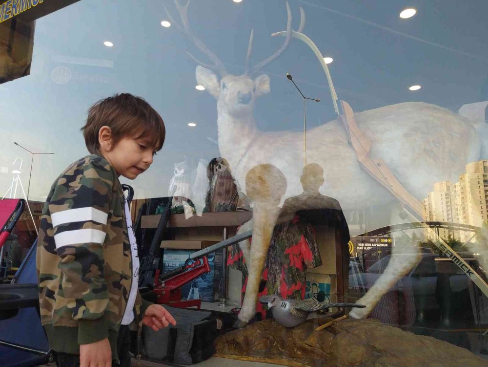 Bu dükkâna gelenleri geyikler ve çitalar karşılıyor