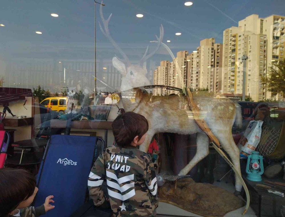 Bu dükkâna gelenleri geyikler ve çitalar karşılıyor