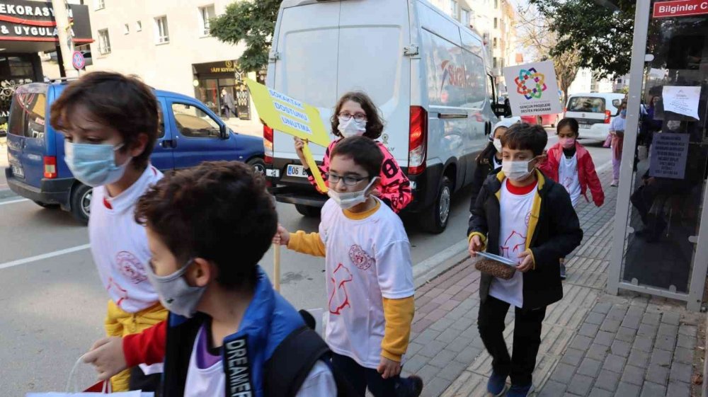 Minik öğrenciler sokak hayvanları için sokakta yürüyüp mama dağıttı