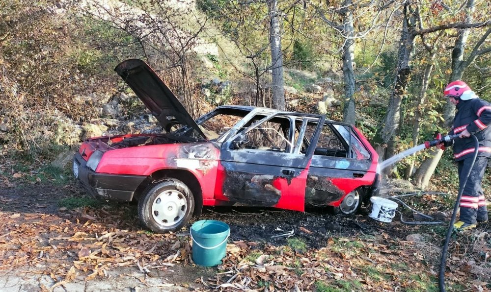 Park halindeki otomobil yangında kullanılamaz hale geldi
