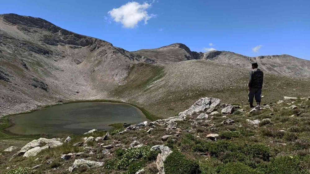 Uludağ için tehlike çanları...Çayırlar azaldı, su kaynakları tükenmek üzere
