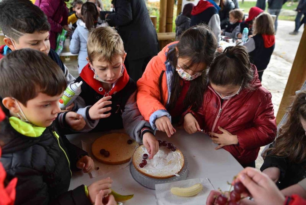 Maymunlara pastalı yaş günü kutlaması