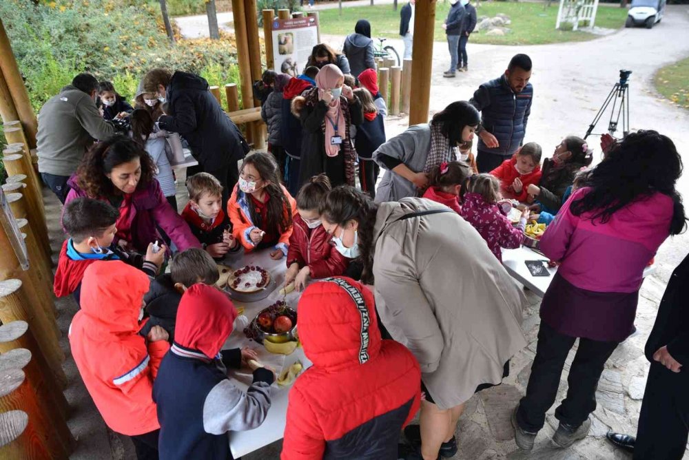 Maymunlara pastalı yaş günü kutlaması