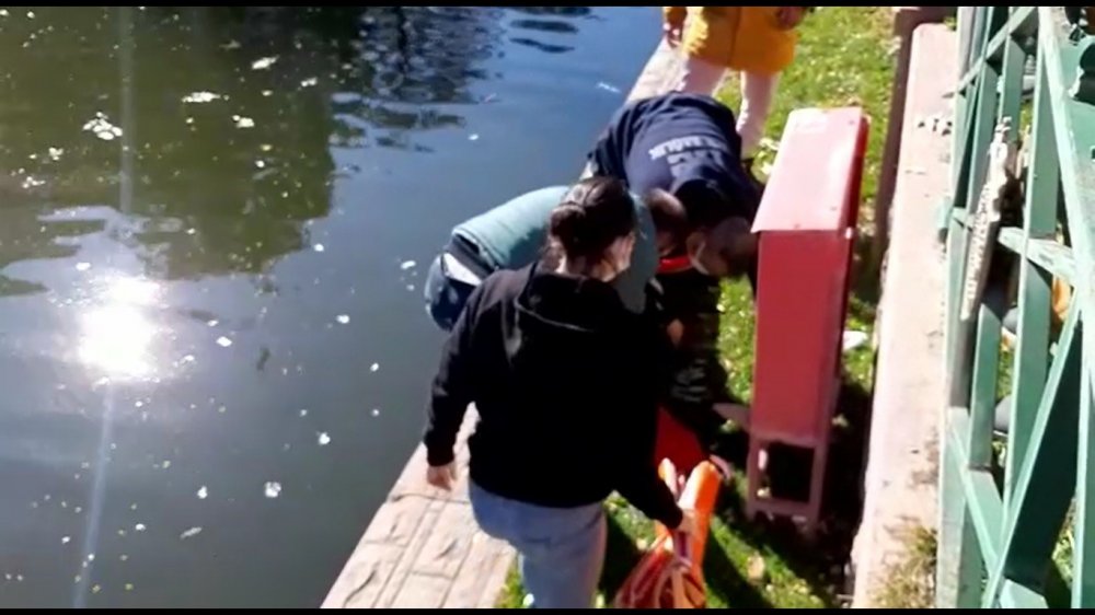 Porsuk Çayı’na düşen kadını vatandaşlar kurtardı