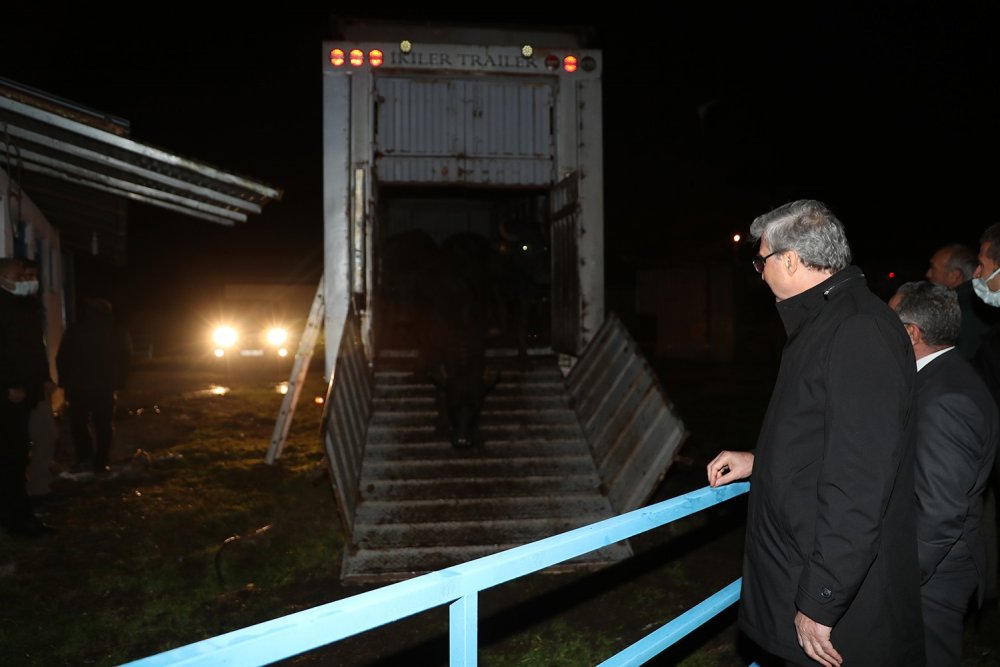Sakarya’da sayısı her geçen gün azalıyordu, harekete geçildi