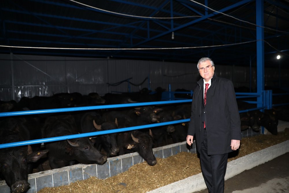 Sakarya’da sayısı her geçen gün azalıyordu, harekete geçildi