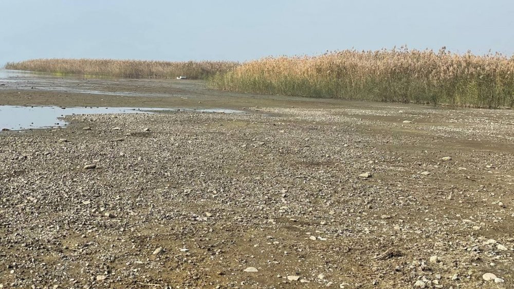 İznik Gölü’ndeki tehlike korkutuyor