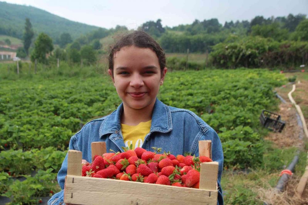 Erdoğan’ı davet etti