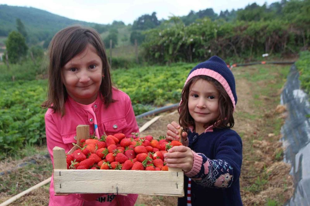 Erdoğan’ı davet etti