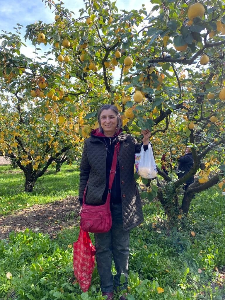 Osmaneli turizmi yerli ve yabancı turistlerle canlanıyor