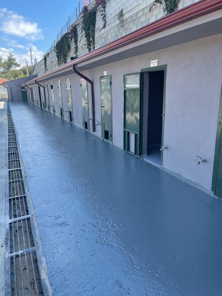 Sokak Hayvanları Tedavi ve Rehabilitasyon Merkezinde bakım ve yenileme çalışmaları