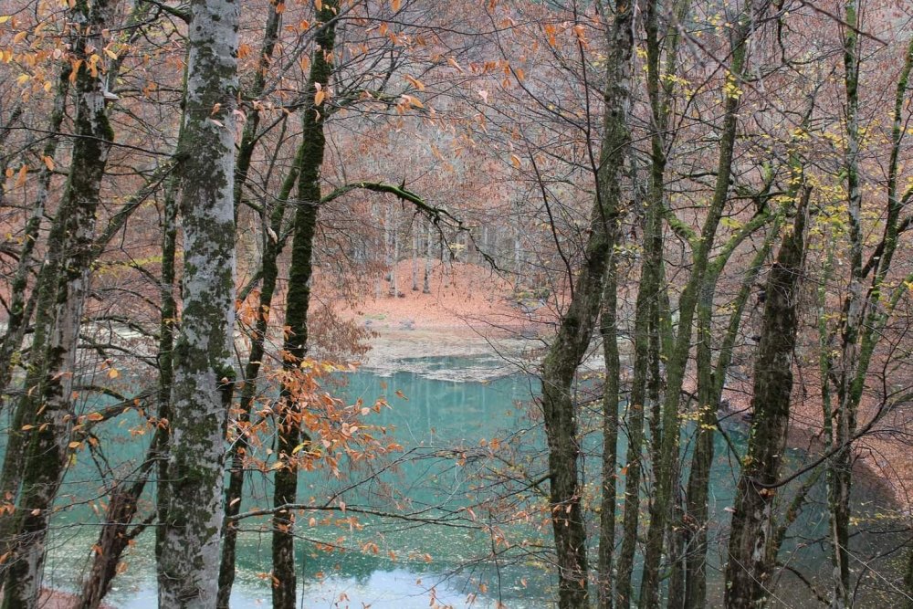 Yedigöller Milli Parkı gezisi renkli görüntülere sahne oldu