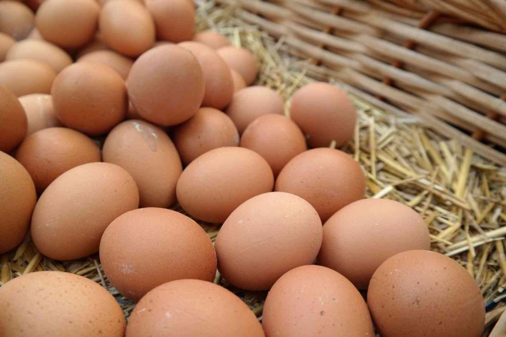 Üreticiden tüketiciye uygun fiyattan