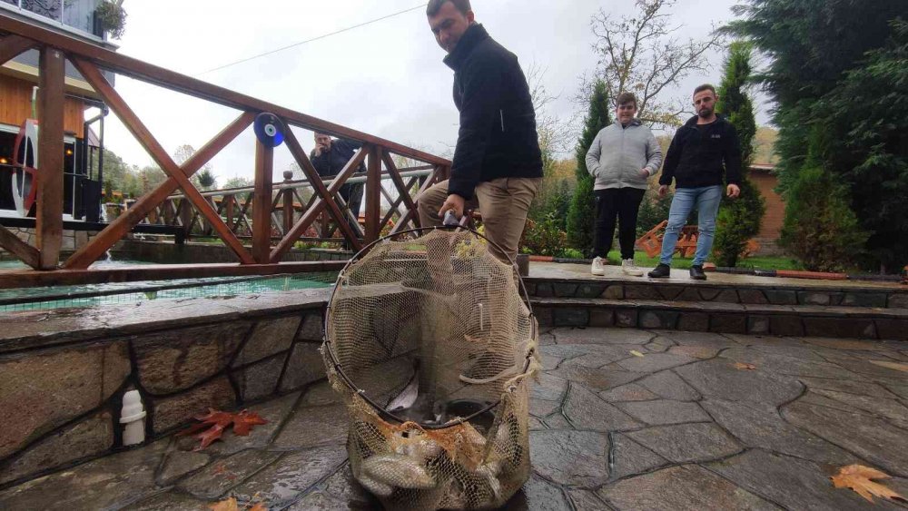 Bu işletmede herkes kendi yiyeceği balığı tutuyor