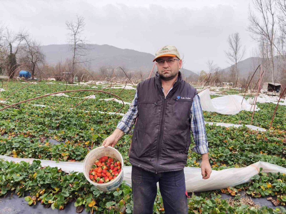 Seralar lodosla parçalandı