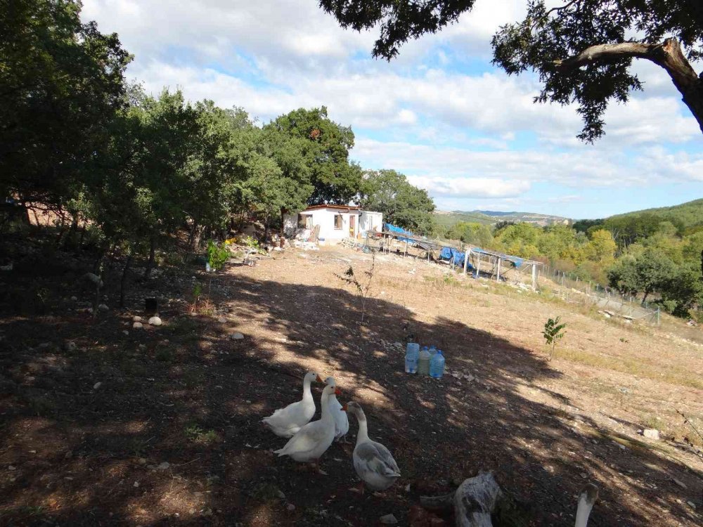 3 yıldır kurduğu çiftlikte yaşıyor