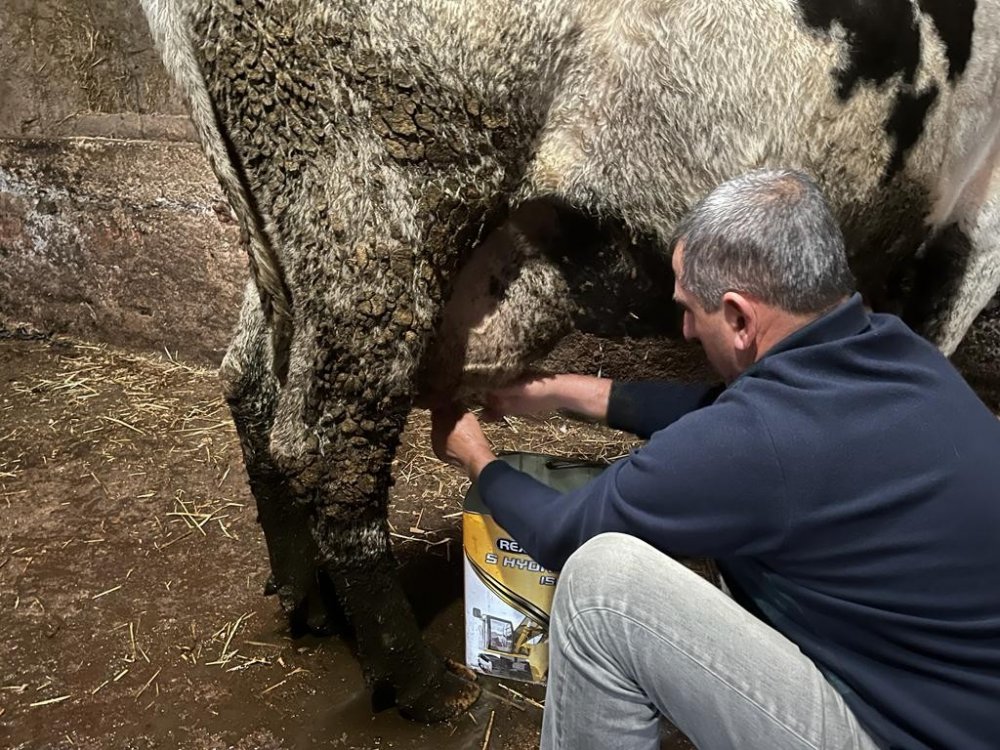 Üreticiler çiğ süte gelen fiyat artışından memnun