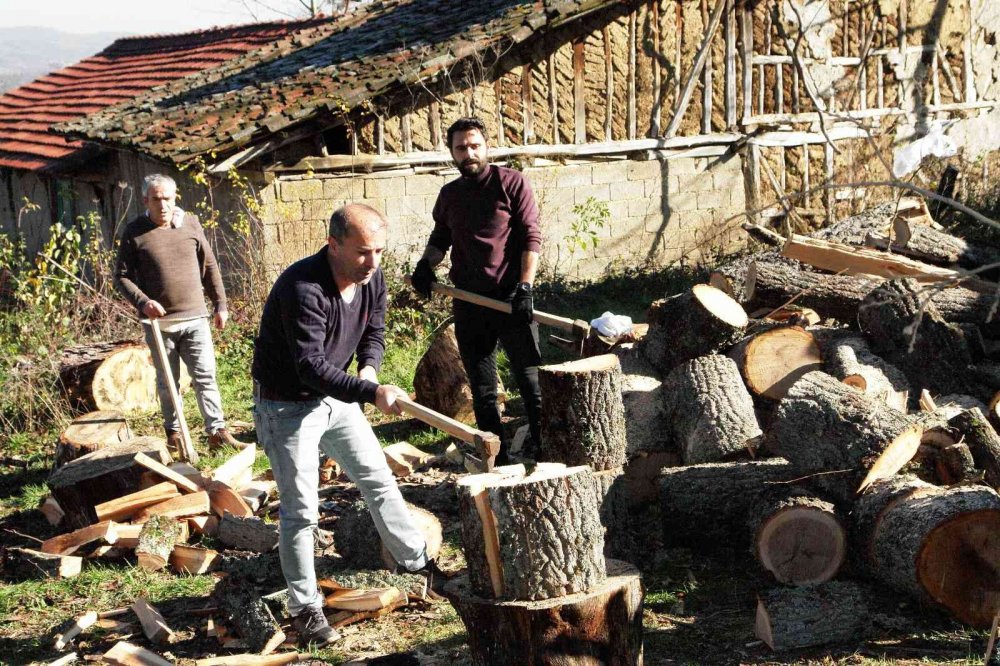 Okul müdürleri odun kesti