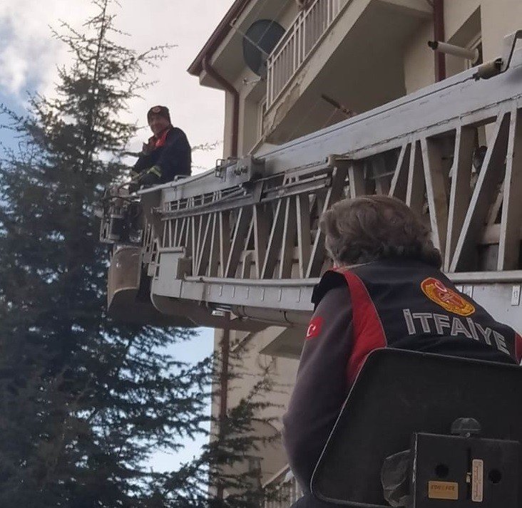 Ağaçta mahsur kalan kediyi itfaiye kurtardı