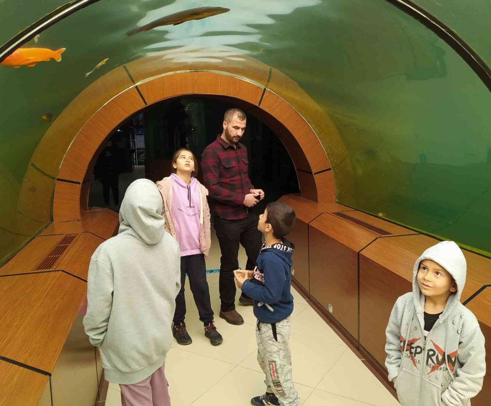 Köpek balıklarıyla dolu bu tünele girenler okyanusların heyecanını yaşıyor