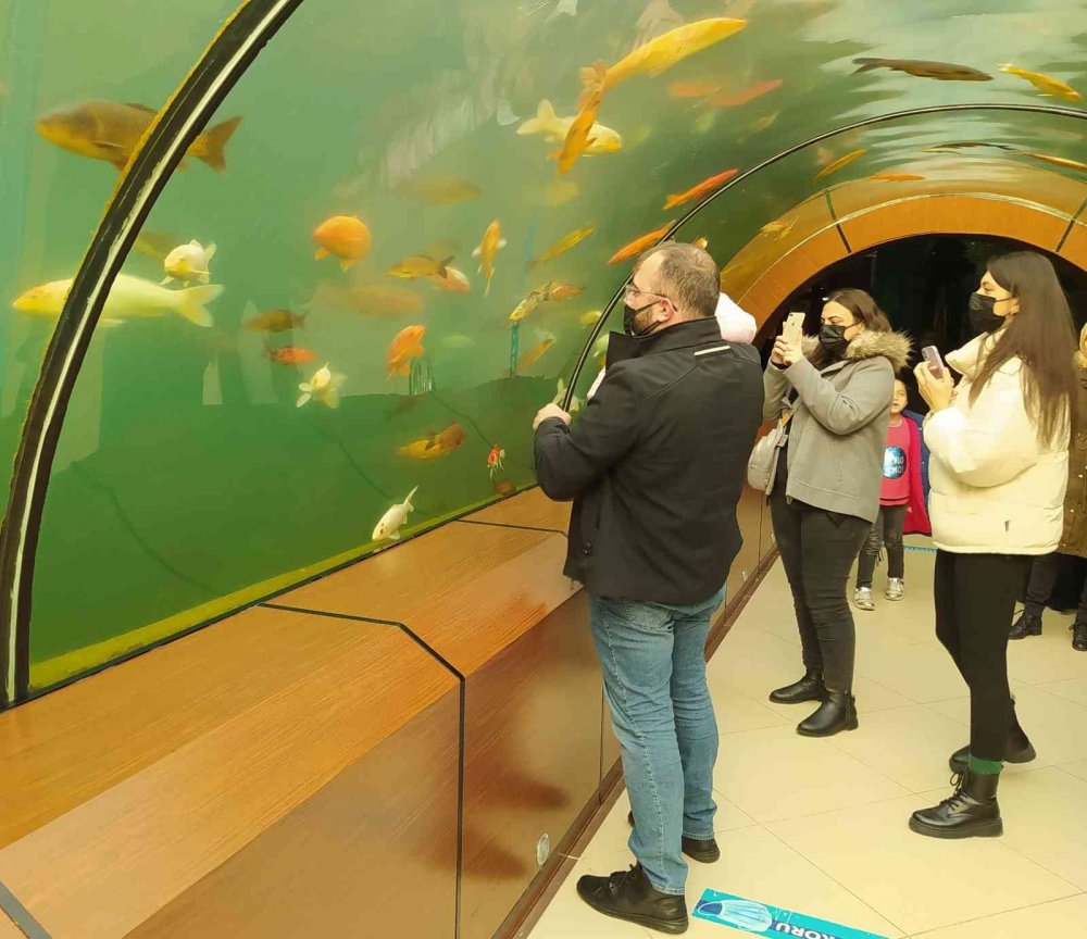 Köpek balıklarıyla dolu bu tünele girenler okyanusların heyecanını yaşıyor