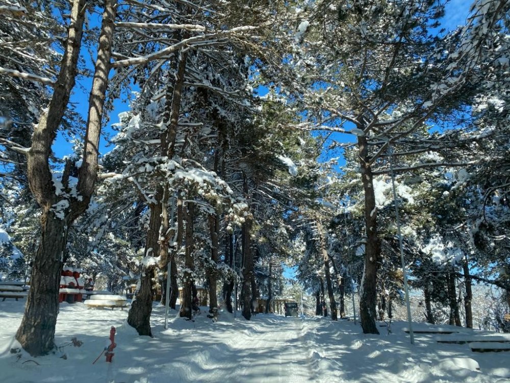 Küçükelmalı Tabiat Parkı beyaza büründü