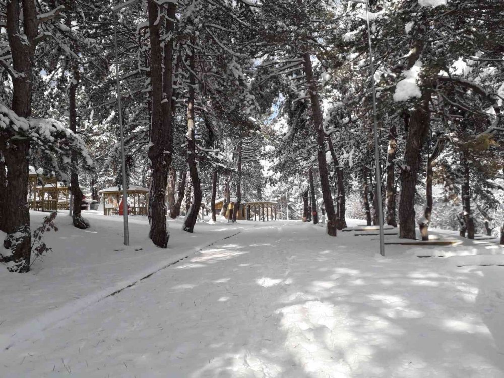 Küçükelmalı Tabiat Parkı beyaza büründü