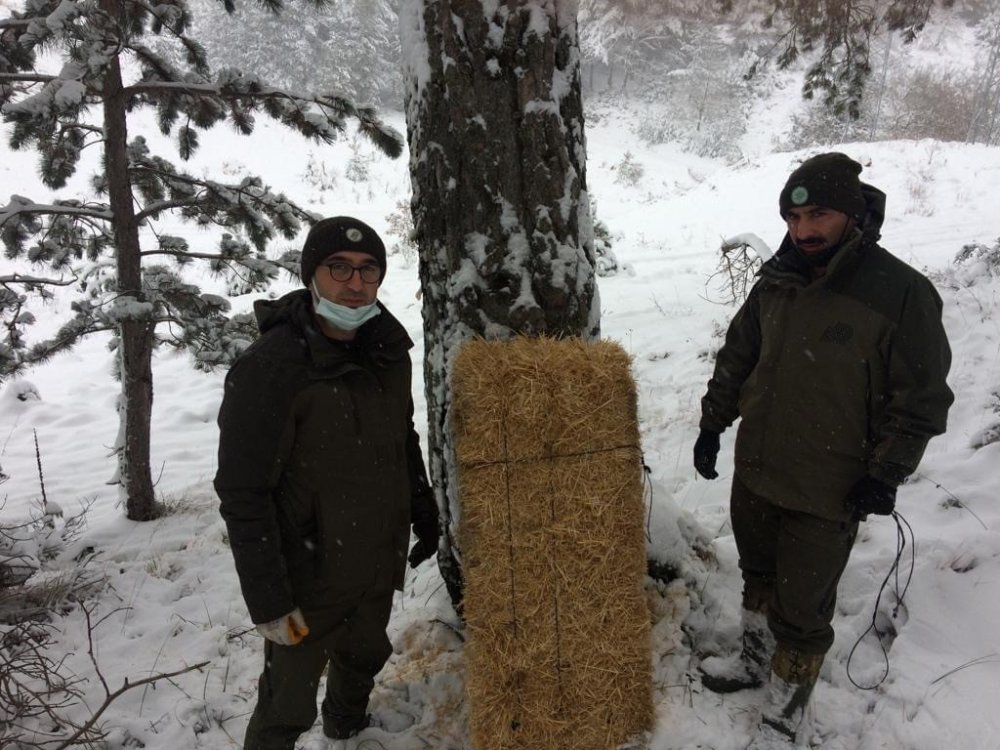 Aç kalan yaban hayvanları için doğaya yem bırakıldı