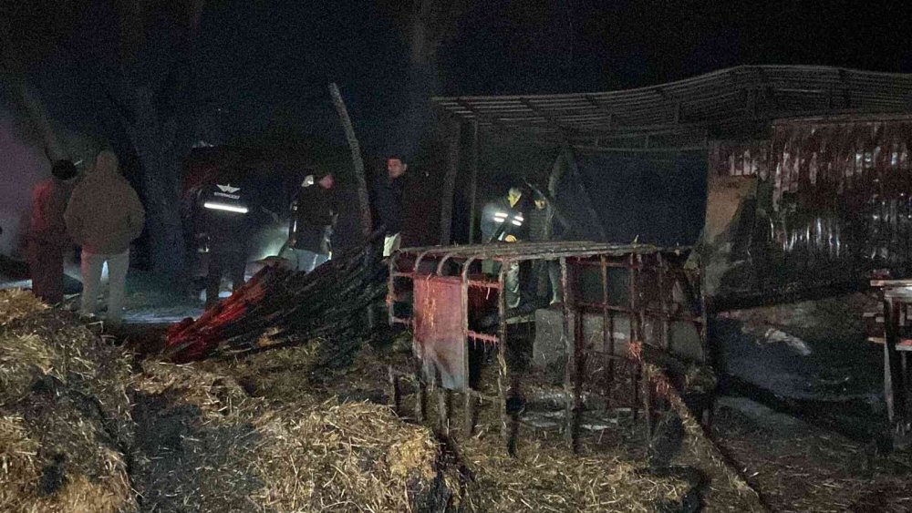 Çiftlik alev alev yandı