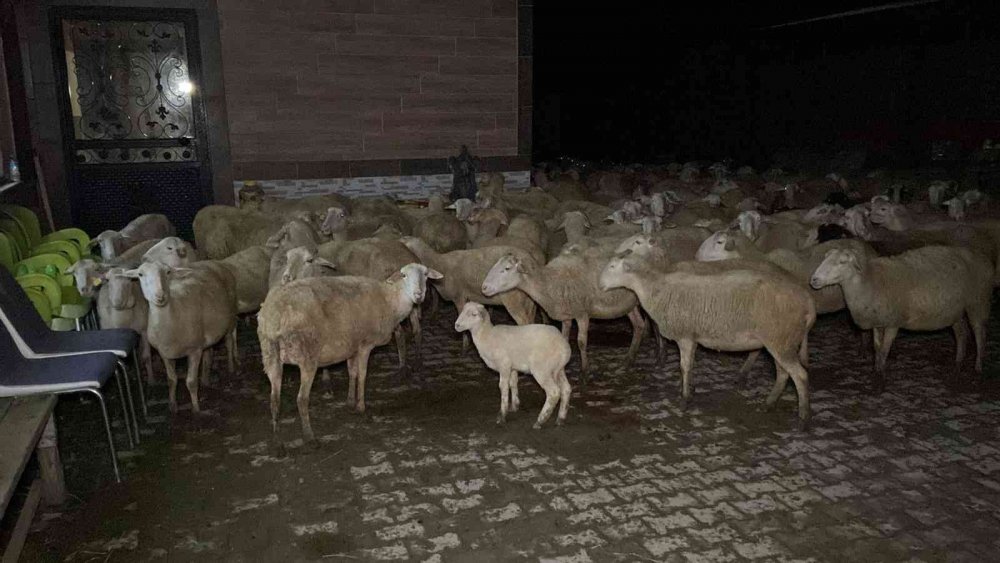 Çiftlik alev alev yandı