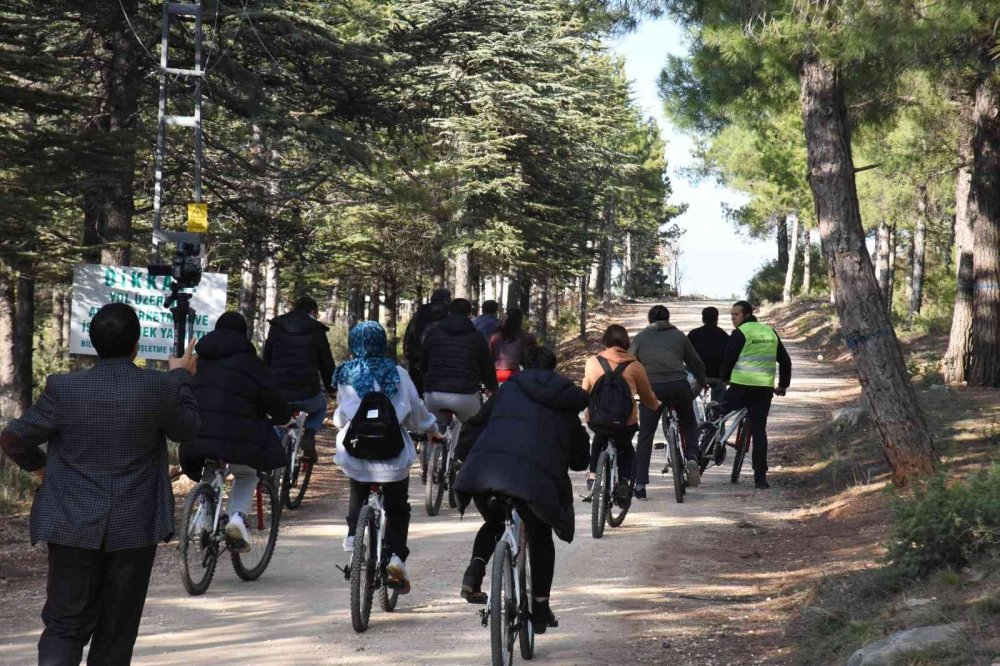 Yabanı hayvanlara yem bıraktılar, ormanda çöp topladılar