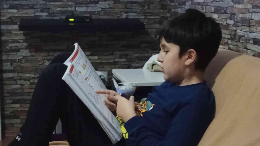 Bu muhabbet kuşu konuşmuyor ama her oyuna katılıyor