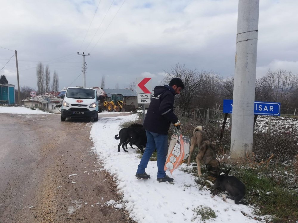 Bilecik’te sokak hayvanları unutulmadı