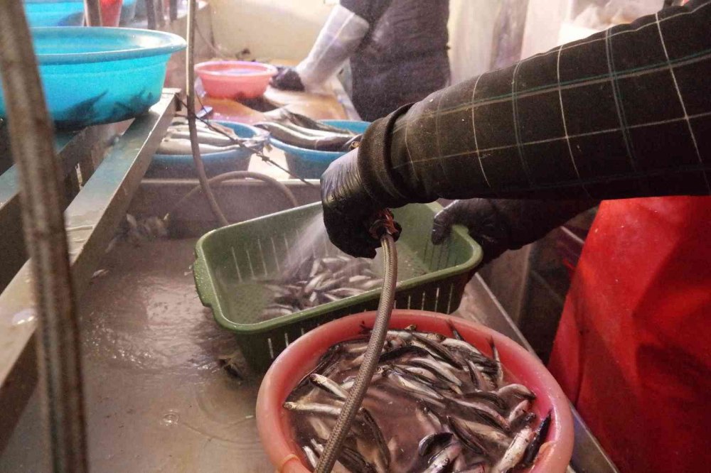 Suyun buz tuttuğu derecede ekmek kavgası