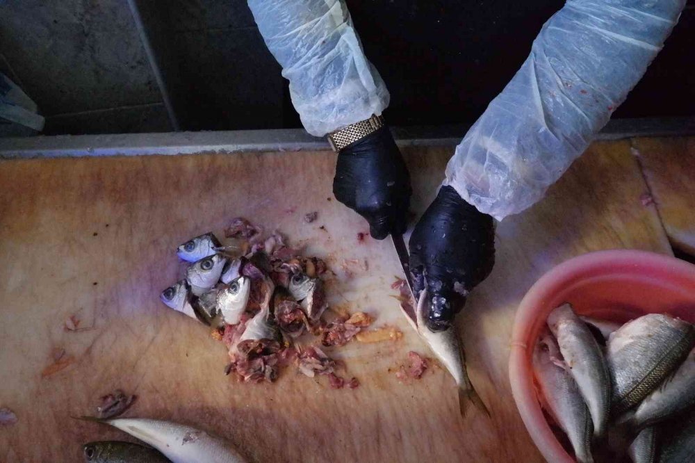 Suyun buz tuttuğu derecede ekmek kavgası