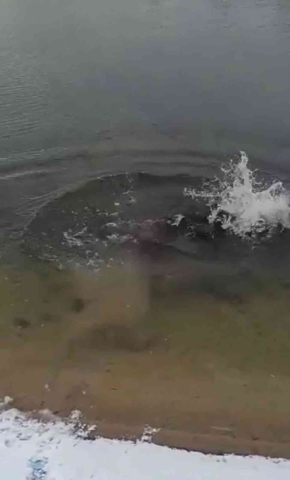 Telefonunu düşüren gencin buz gibi göle daldığı anlar kamerada