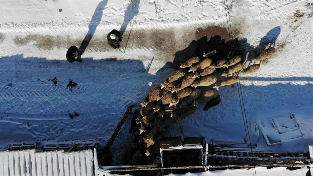 Besicilerin zorlu hava koşullarındaki amansız mücadelesi