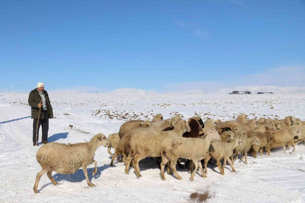 Besicilerin zorlu hava koşullarındaki amansız mücadelesi