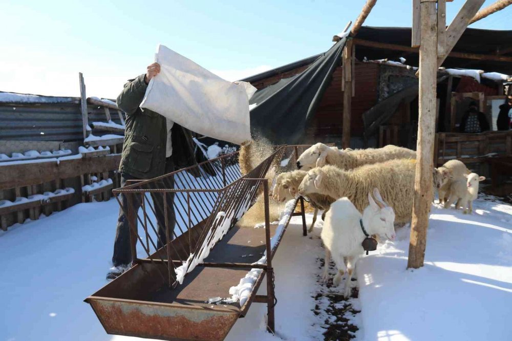 Besicilerin zorlu hava koşullarındaki amansız mücadelesi