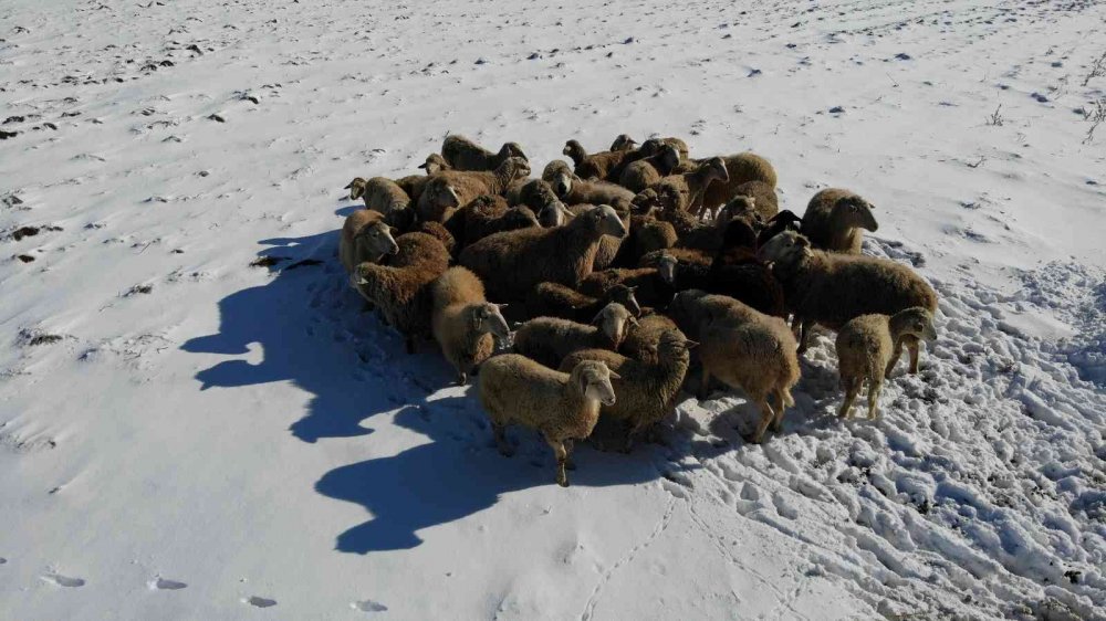 Besicilerin zorlu hava koşullarındaki amansız mücadelesi