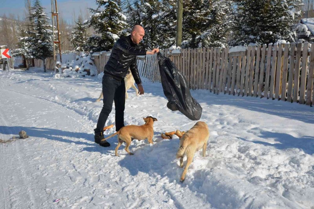 Bozüyük Belediyesi can dostlarını unutmadı